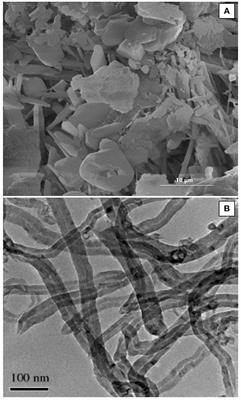 Potential of Acid-Activated Bentonite and SO3H-Functionalized MWCNTs for Biodiesel Production From Residual Olive Oil Under Biorefinery Scheme